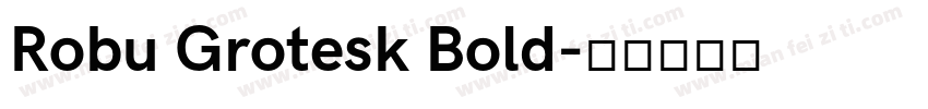 Robu Grotesk Bold字体转换